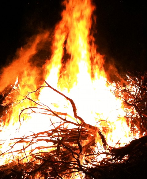 Amber and Murray’s Bonfire (The Ridge) 11-10-11