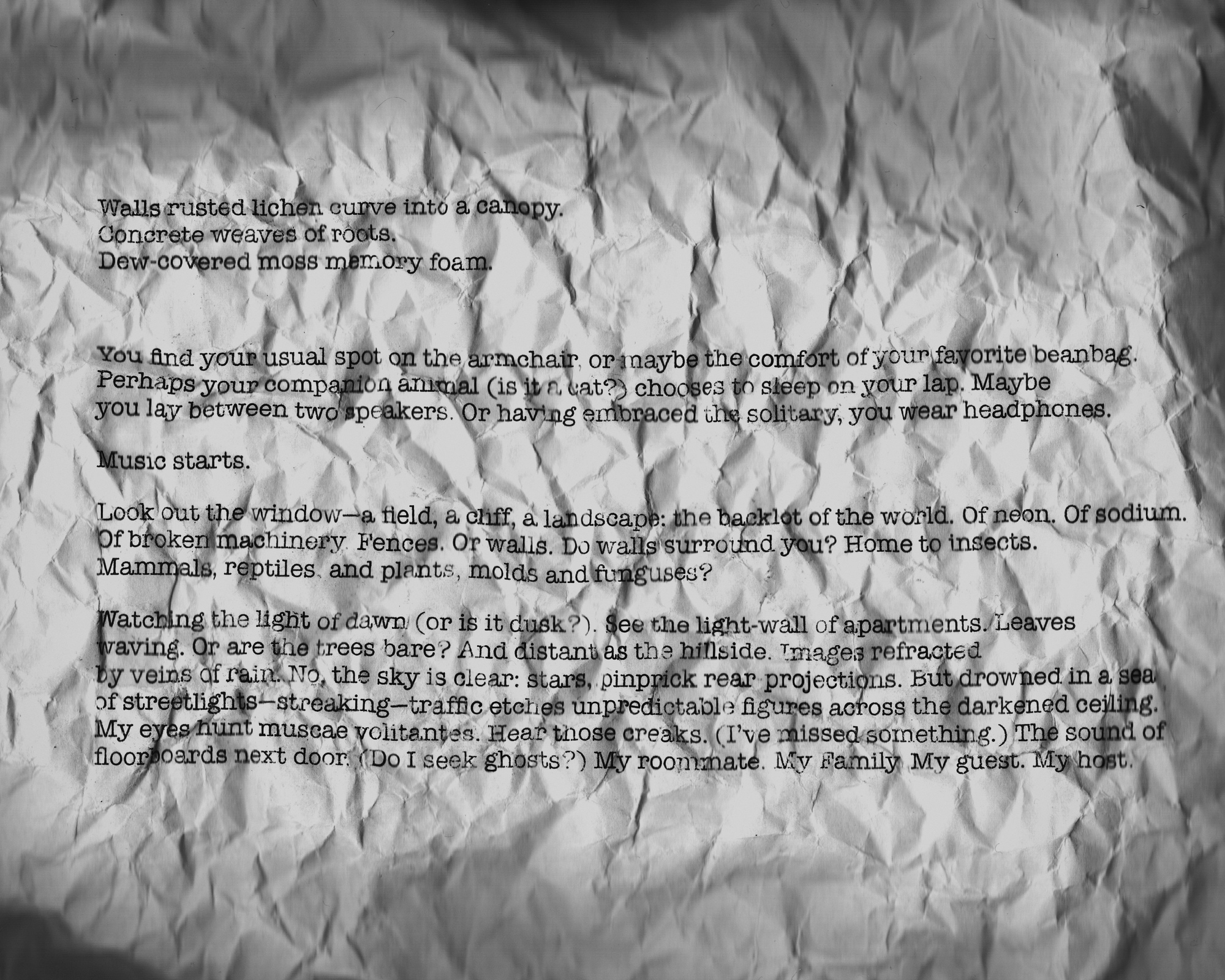 Walls rusted lichen curve into a canopy. / Concrete weaves of roots. / Dew-covered moss memory foam. / You find your usual spot on the armchair, or maybe the comfort of your favorite beanbag. Perhaps your companion animal (is it a cat?) chooses to sleep on your lap. Maybe you lay between two speakers. Or having embraced the solitary, you wear headphones. / Music starts. / Look out the window—a field, a cliff, a landscape: the backlot of the world. Of neon. Of sodium. Of broken machinery. Fences. Or walls. Do walls surround you? Home to insects. Mammals, reptiles, and plants, molds and funguses? / Watching the light of dawn (or is it dusk?). See the light-wall of apartments. Leaves waving. Or are the trees bare? And distant as the hillside. Images refracted by veins of rain. No, the sky is clear: stars, pinprick rear-projections. But drowned in a sea of streetlights—streaking—traffic etches unpredictable figures across the darkened ceiling. My eyes hunt muscae volitantes. Hear those creaks. (I’ve missed something.) The sound of floorboards next door. (Do I seek ghosts?) My roommate. My Family. My guest. My host.